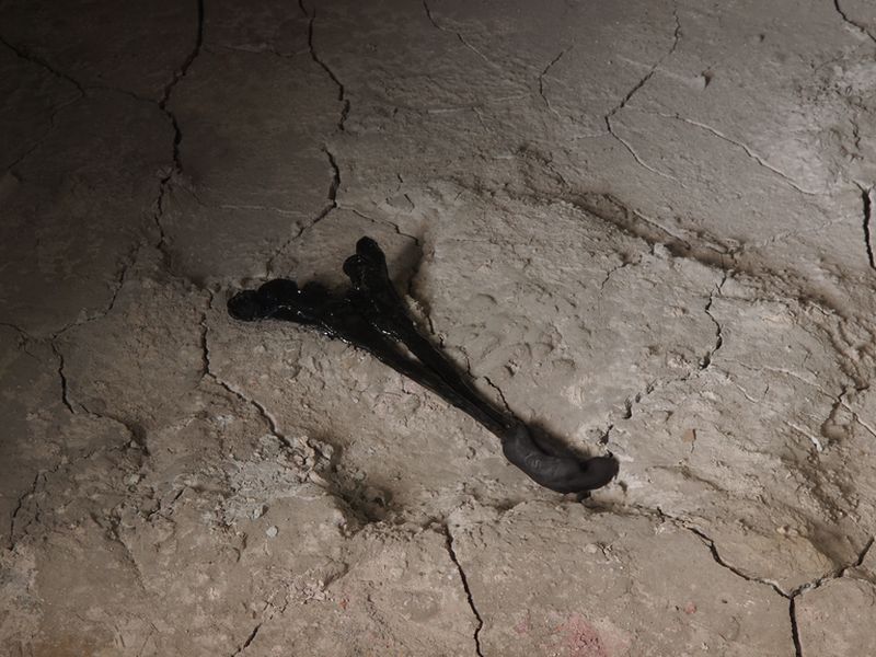 Photo credit: Raffaele Tassinari